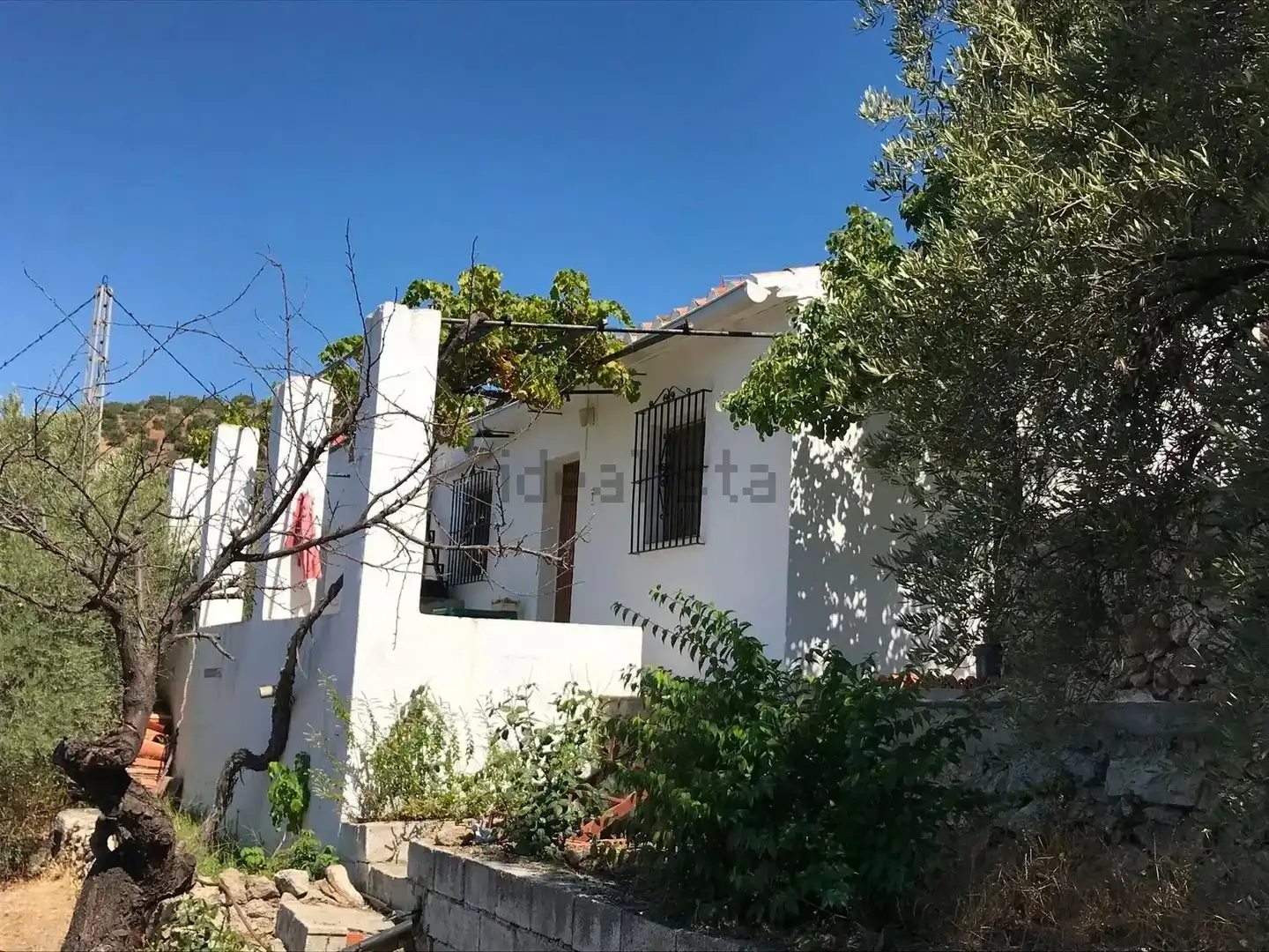 Vista exterior de Finca rústica en venda en Frigiliana amb Terrassa, Traster i Forn