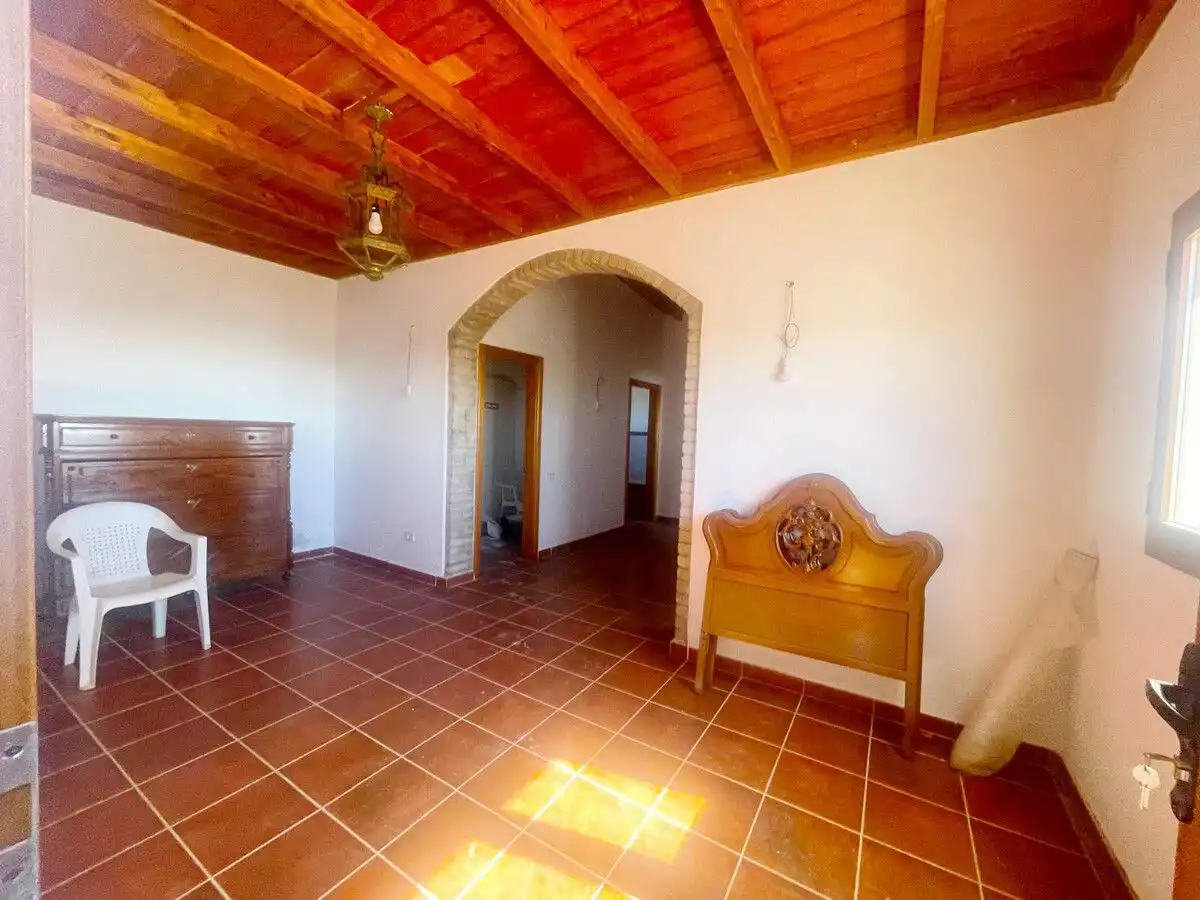 Land for sale in Ingenio