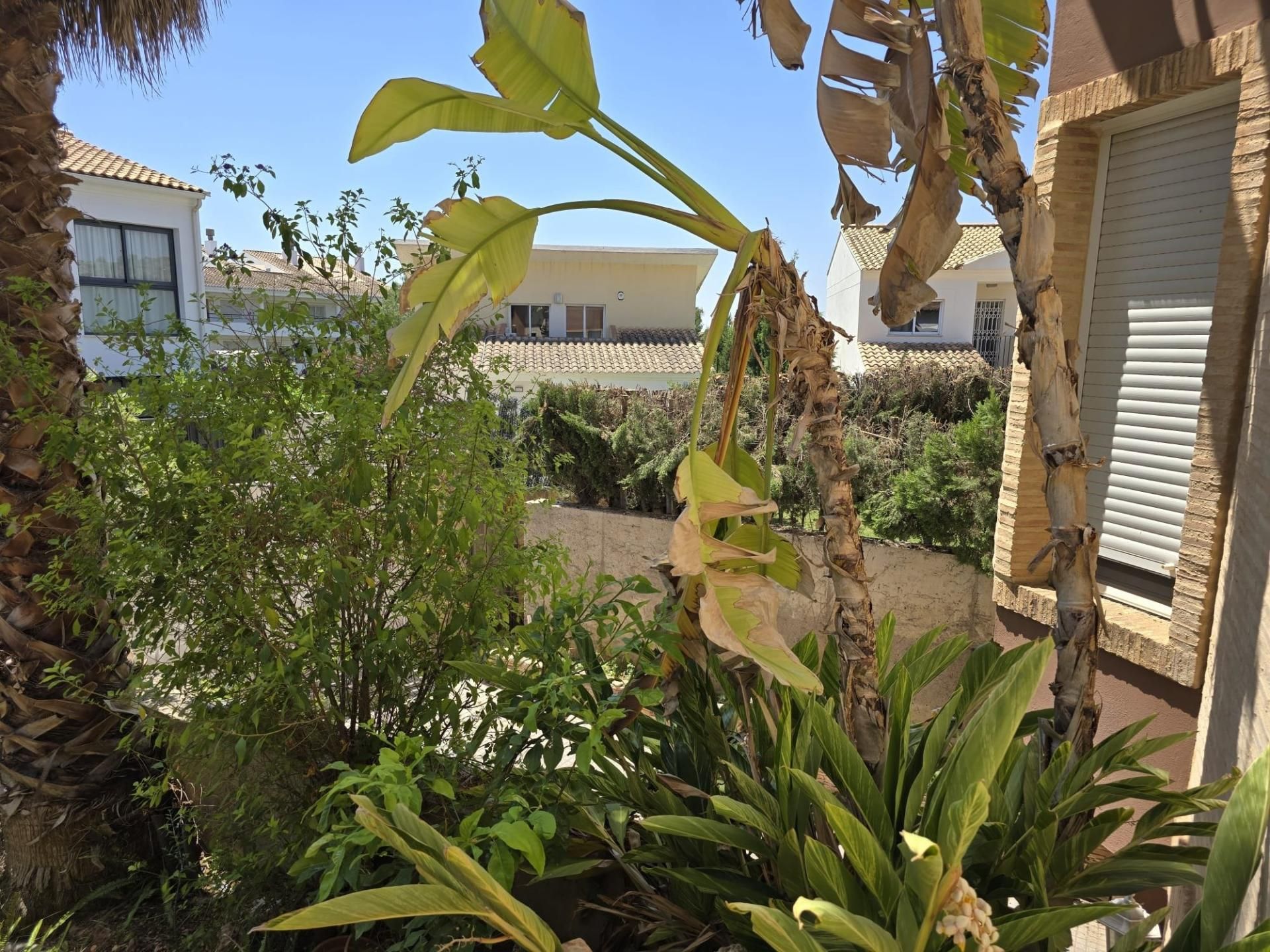 Jardí de Casa o xalet en venda en Puçol amb Aire condicionat, Calefacció i Terrassa