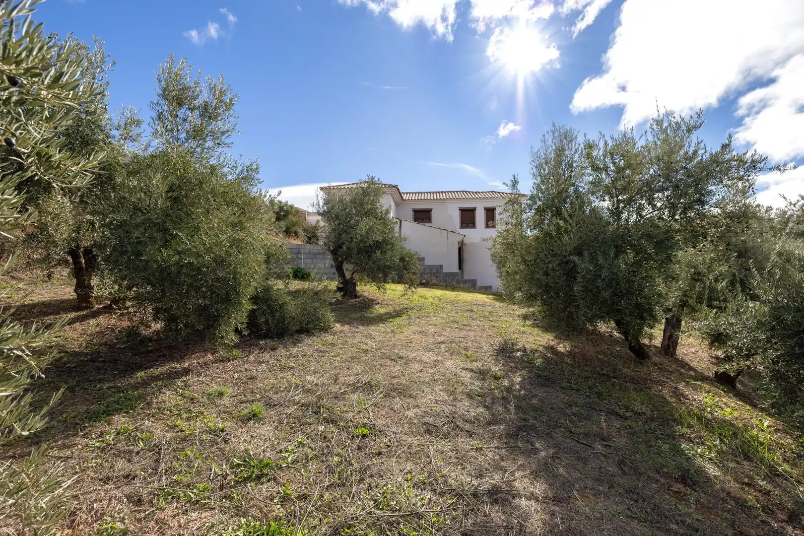 Terreni e lotti in vendita a Nívar, imagen 13