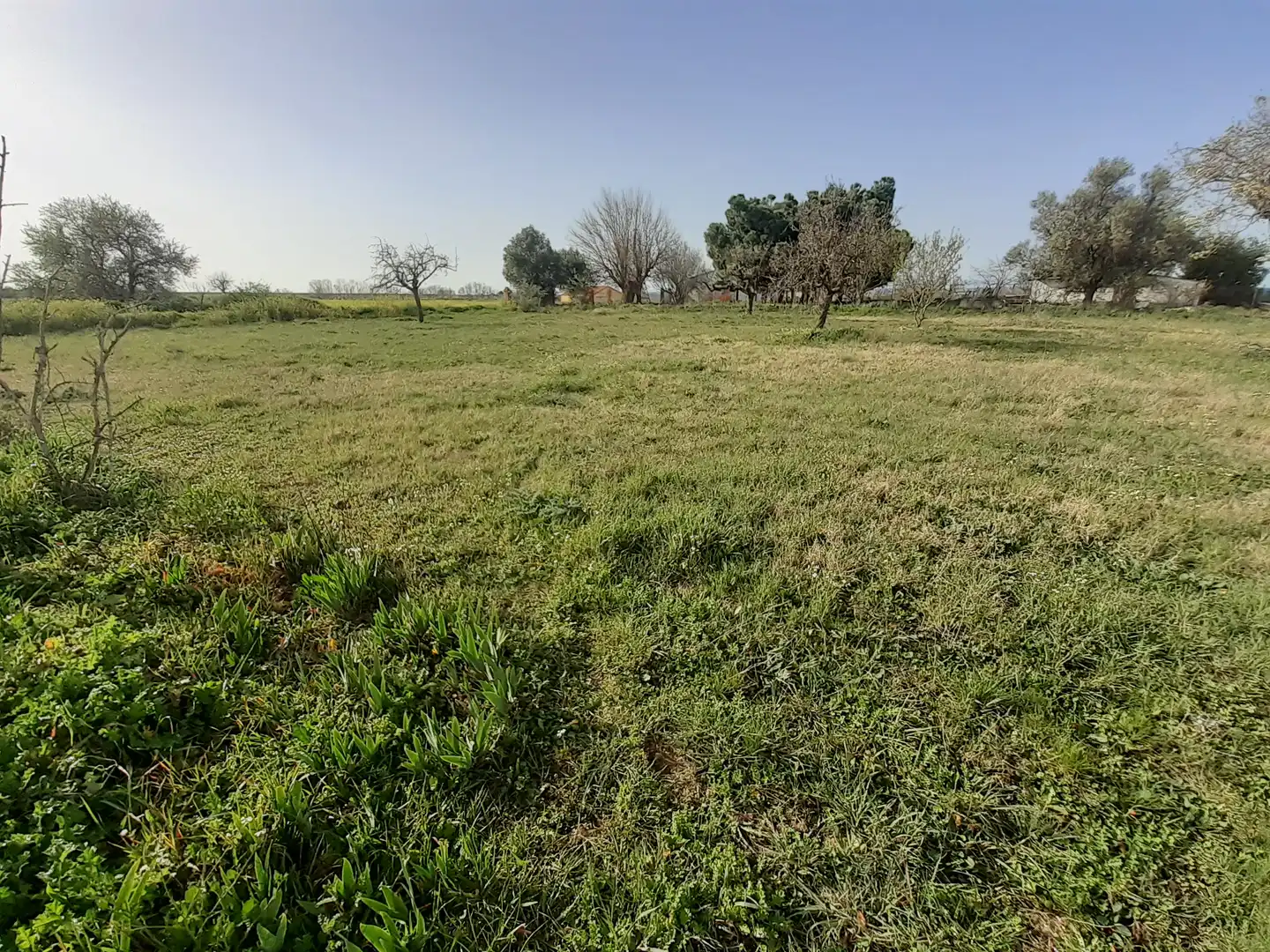 Residential for sale in El Perdigón 