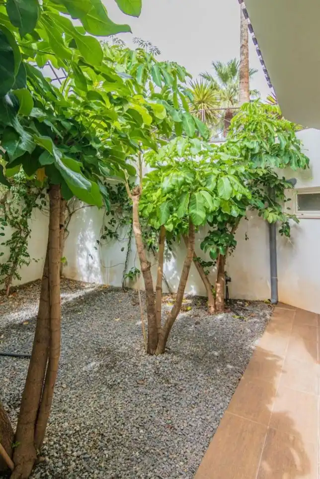 Jardín de Apartamento en venta en Pueblo - Urbanizaciones