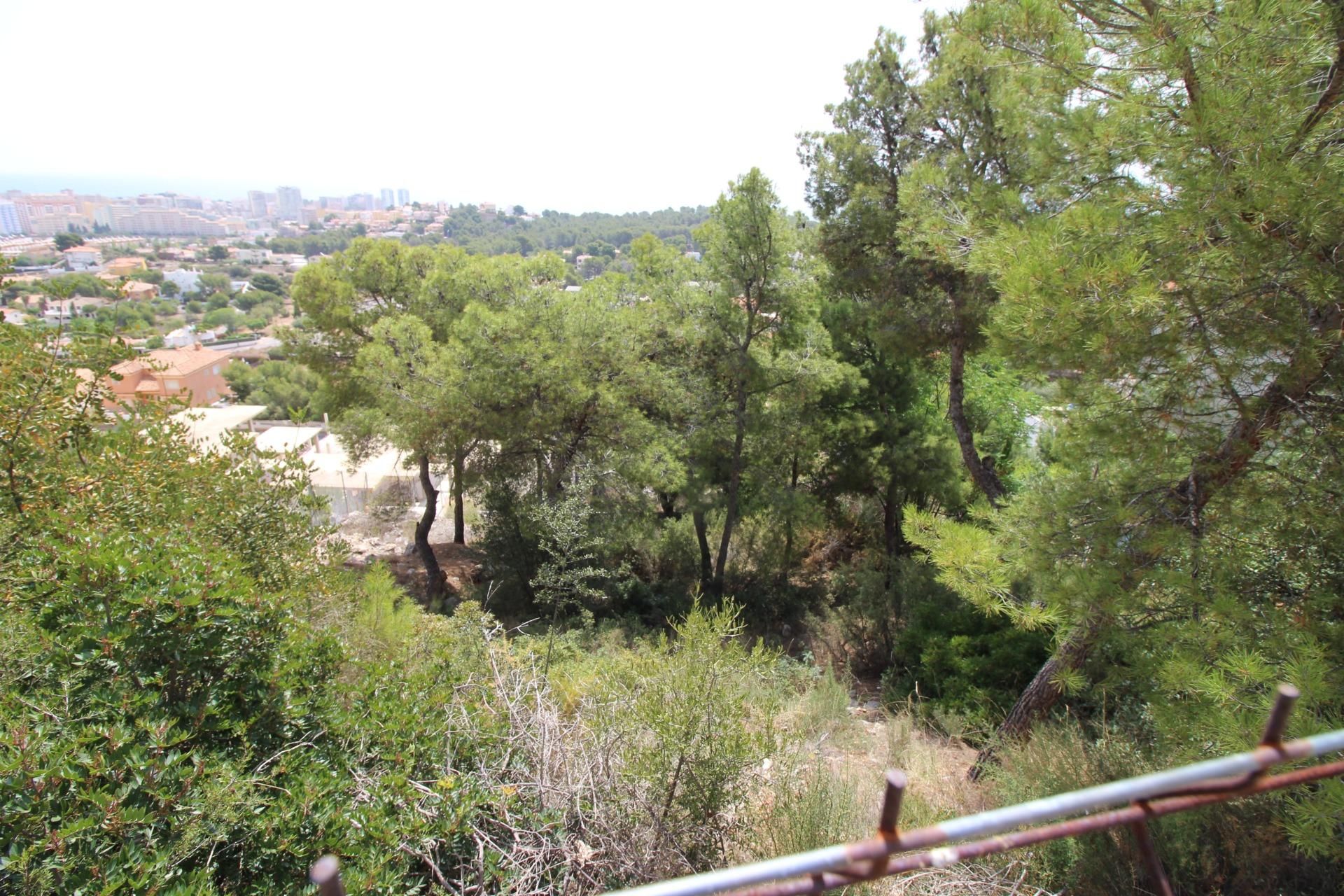 Residencial en venta en Calle DEL MADROÑO, El Balcó - Jaume I