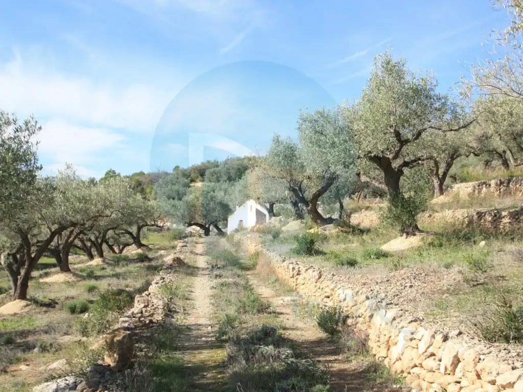 Country homes for sale in El Perelló, Tarragona