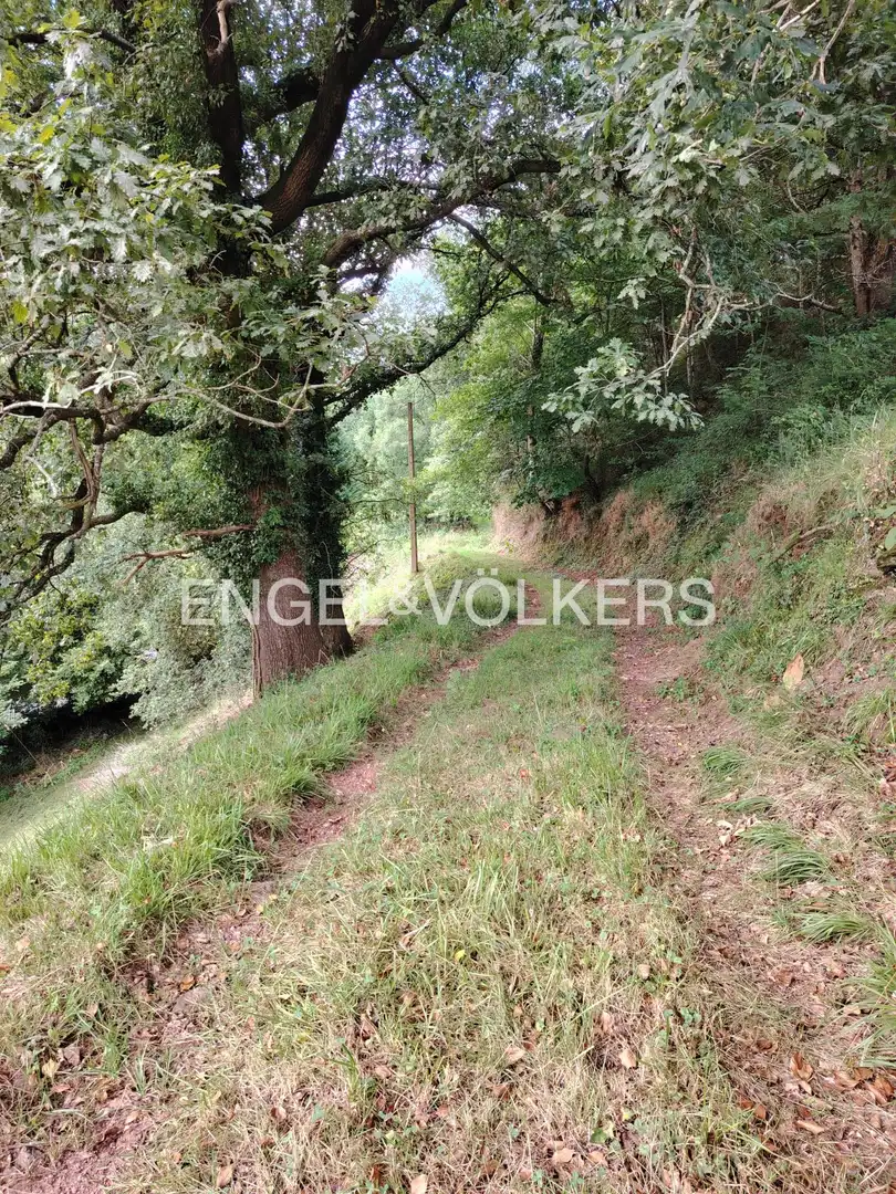 Terreno rustico in vendita a Barrio Villabáñez, imagen 3