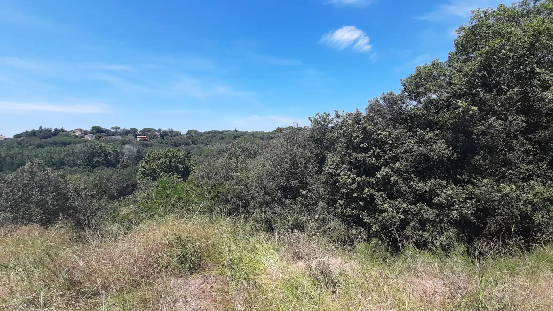 Residential land for sale in Carrer Pla de la Calma, imagen 7