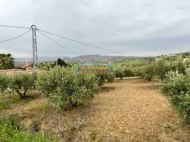 Terreno rustico in vendita a Calle siete caras