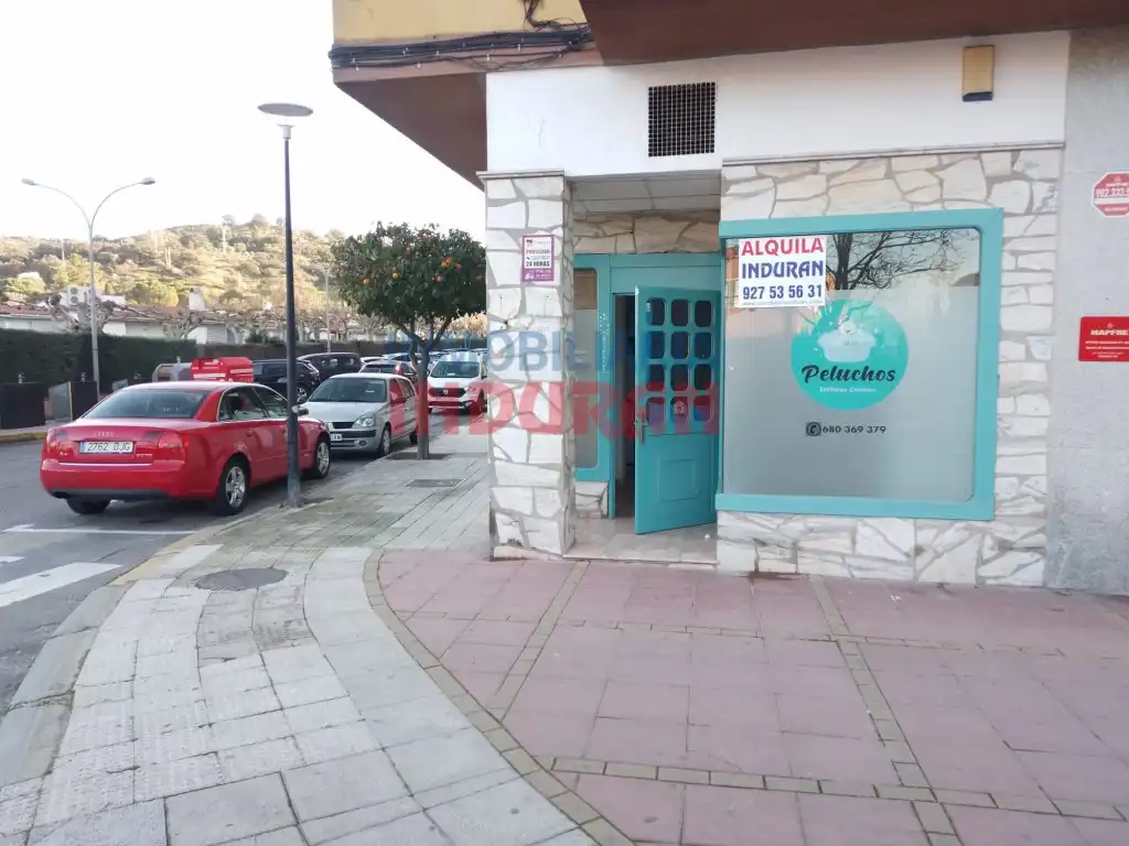 Local comercial de lloguer a Calle Antonio Concha
