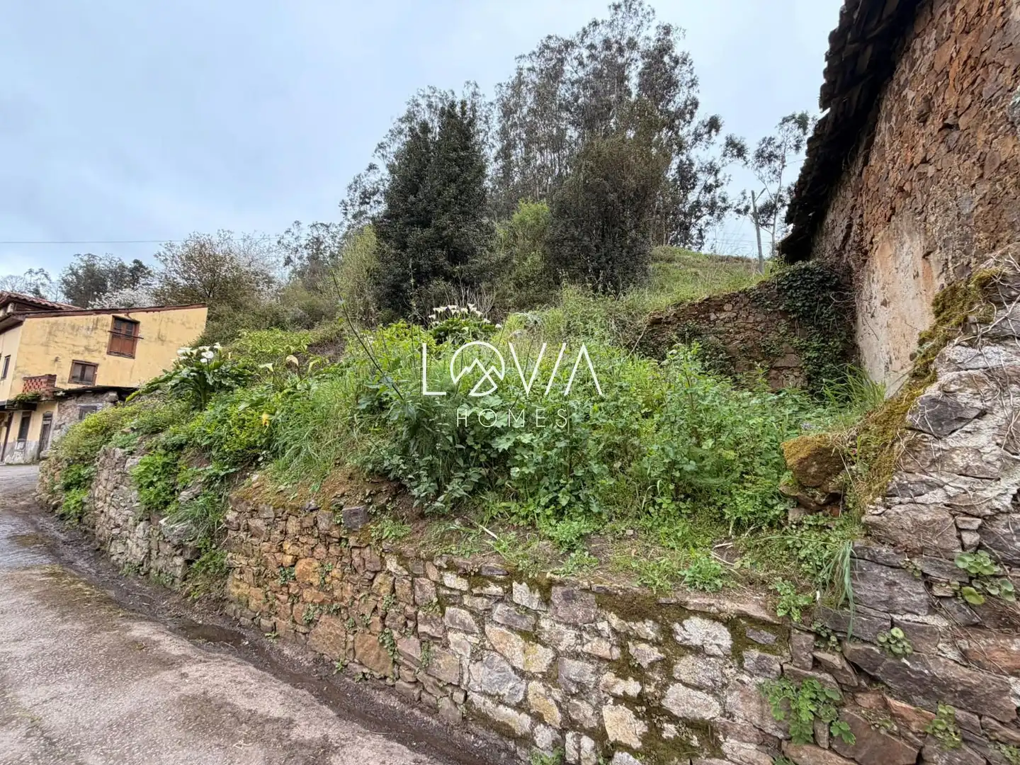 Casa o xalet en venda en Pravia amb Jardí privat