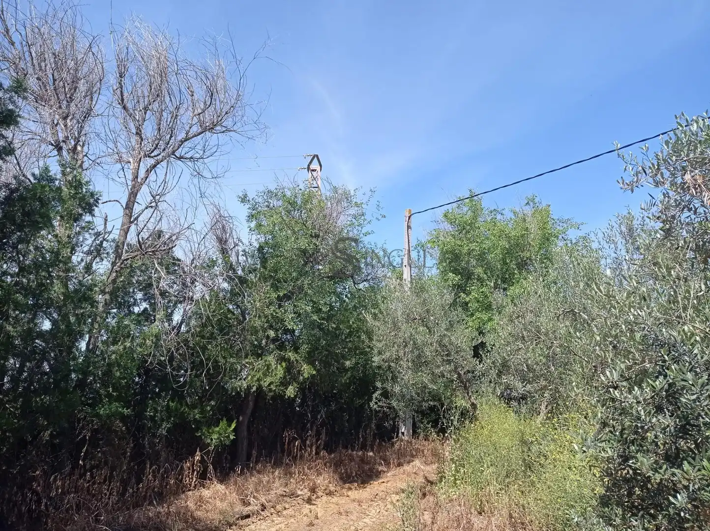 Rural land for sale in La Paz, imagen 7