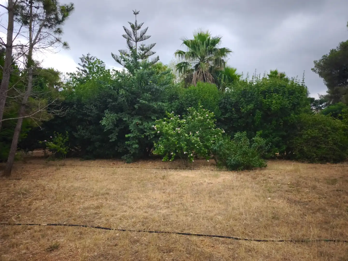 Finca rústica en venda en Masdenverge amb Jardí privat, Traster i Moblat