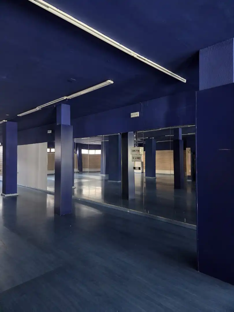 Gewerbefläche zur Miete in Avenida Juan Pereda Pila, imagen 8
