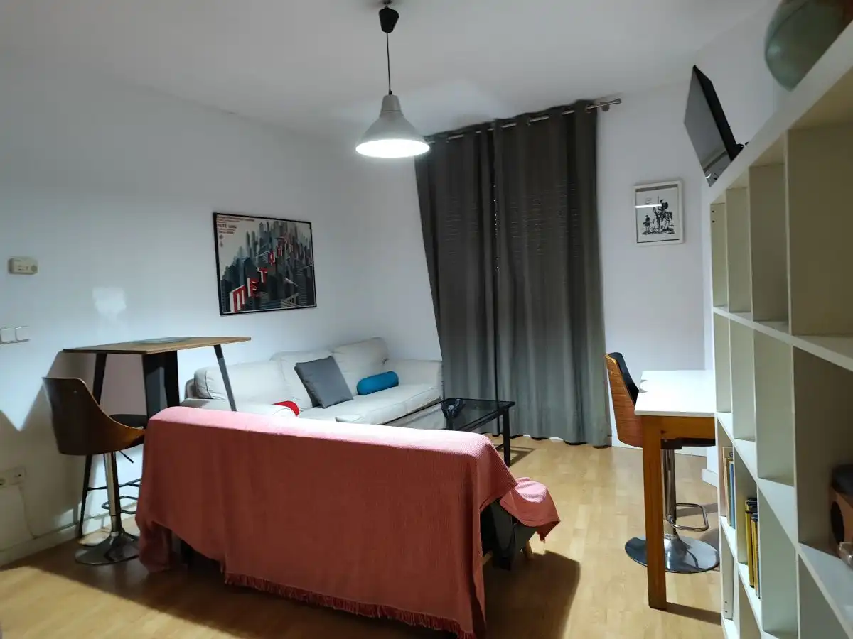 Living room of Apartments for rent in Huelva  with Air Conditioner and Furnished