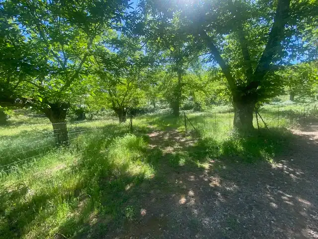Terreni e lotti in vendita a Fuenteheridos, imagen 22