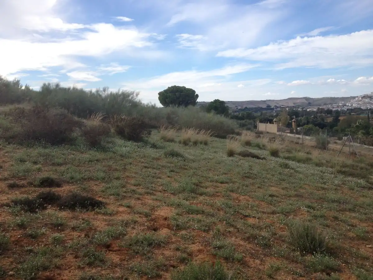 Terreno residencial en venta en Arcos de la Frontera, imagen 2