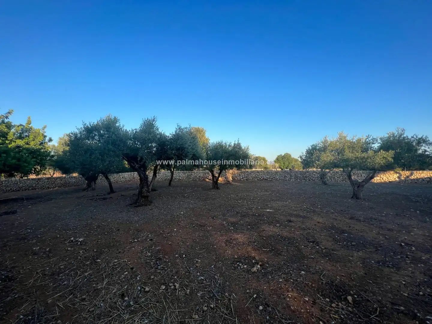 Residencial en venta en Santa Margalida