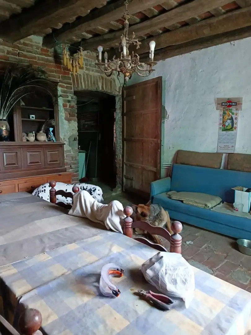 Sala de estar de Finca rústica en venta en Sant Celoni