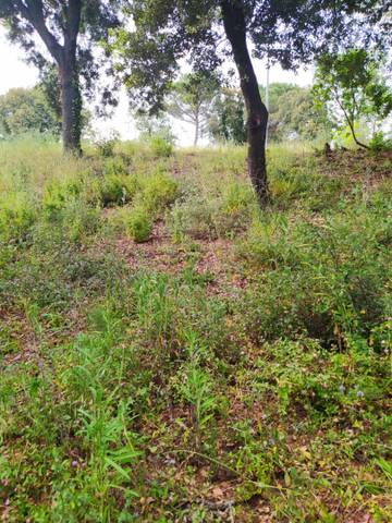 Terreno residencial en Venta en Gualba