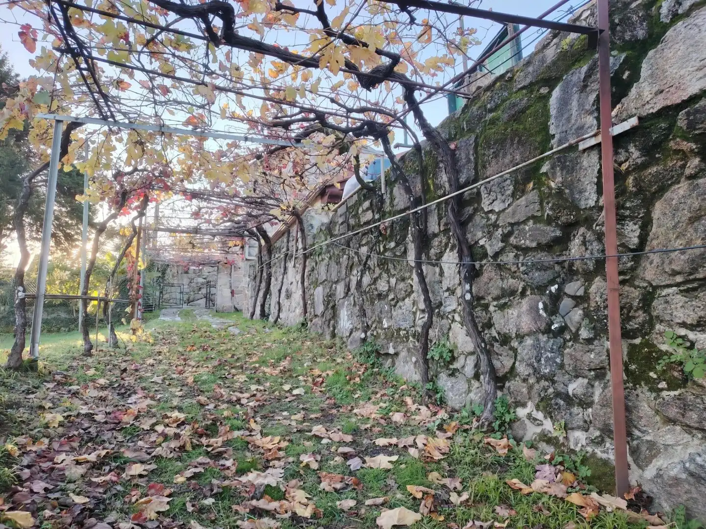Casa o chalet en venta en Crecente