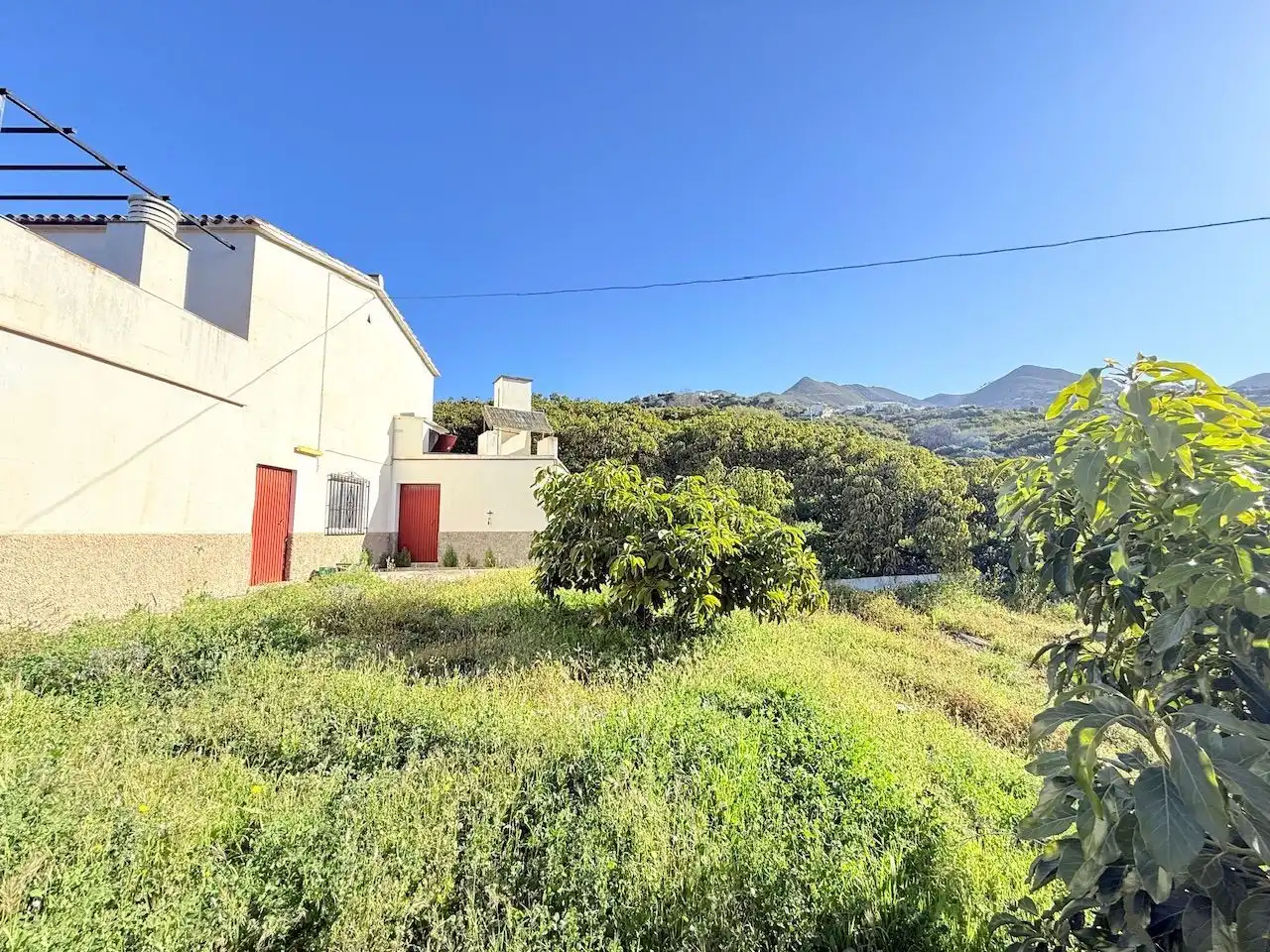 Land for sale in Canillas de Albaida