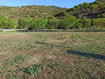 Terrain résidentiel à vendre à Lugar Sector Ponent