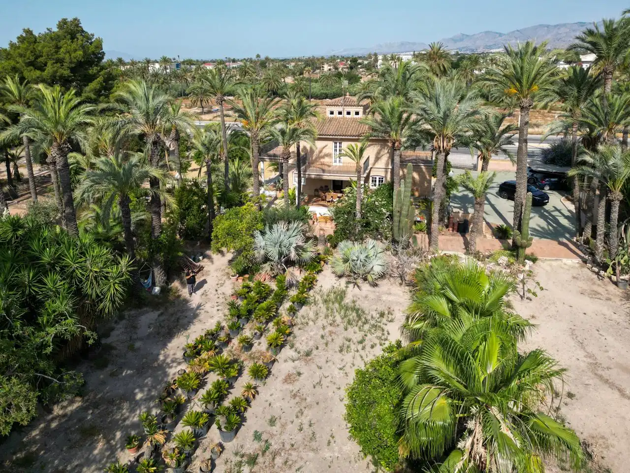 Jardí de Casa o xalet en venda en Elche / Elx amb Calefacció, Jardí privat i Parquet