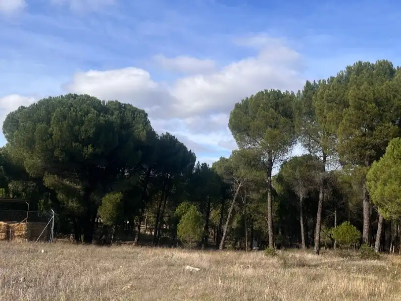 Terreno en venta en Traspinedo
