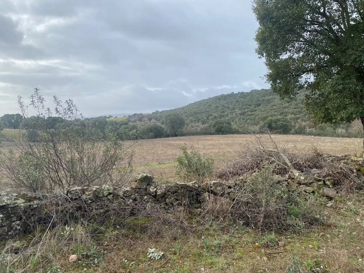 Terreno en venta en Anchuras