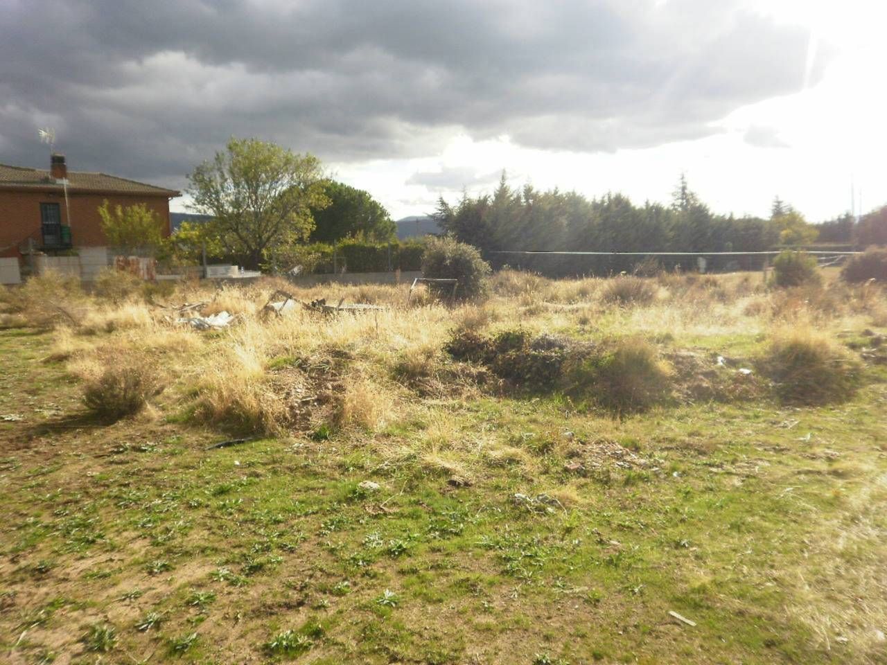 Industrial land for sale in Puentes Viejas