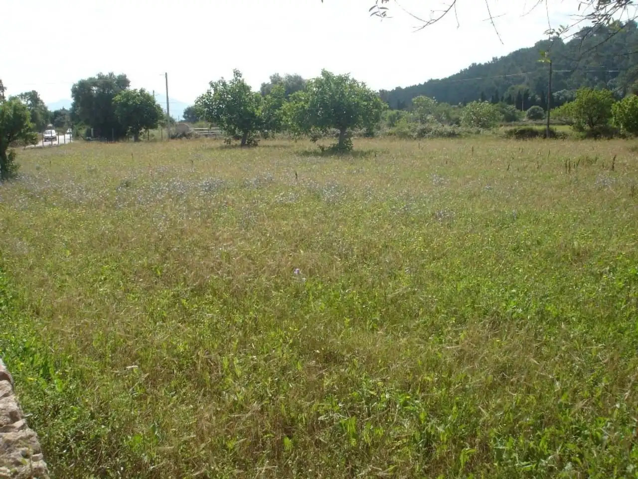 Terrain rustique à vendre à Muro, imagen 6