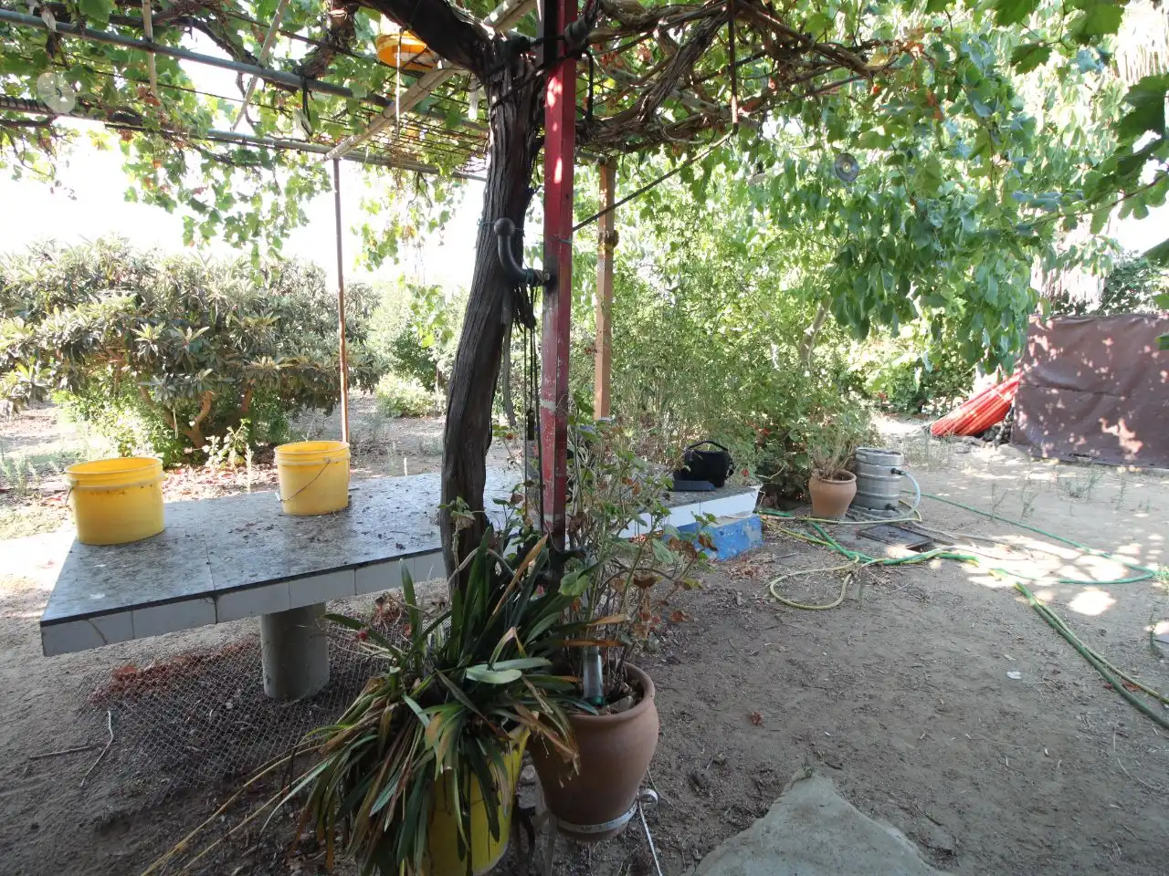 Terreno rustico in vendita a Calle Poniente 13, imagen 33