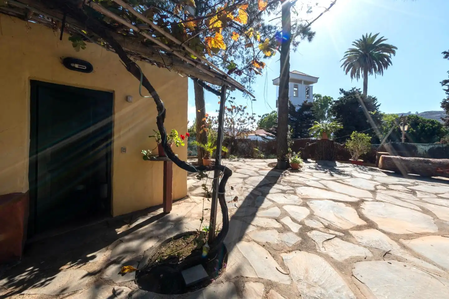Jardí de Casa o xalet en venda en Santa Brígida amb Jardí privat i Terrassa