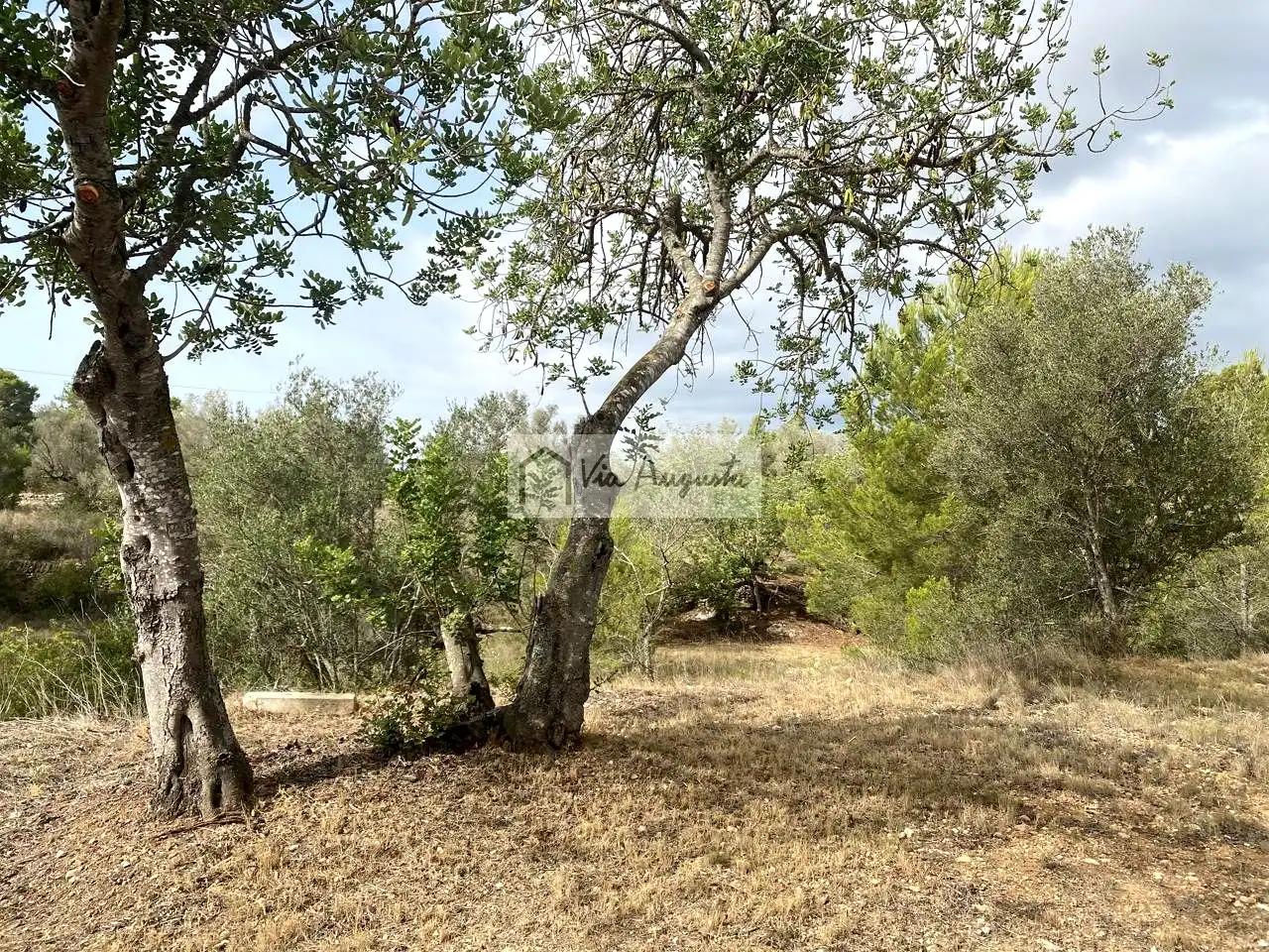 Terreno rustico in vendita a Mas de Baralluga, imagen 11