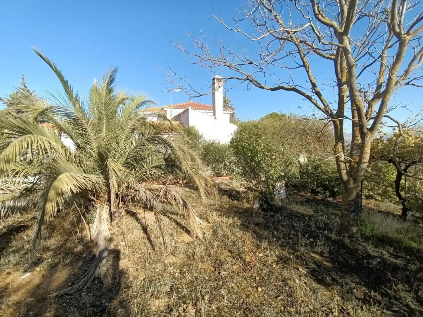 Casa rústica amb jardí en venda a Centro, imagen 35