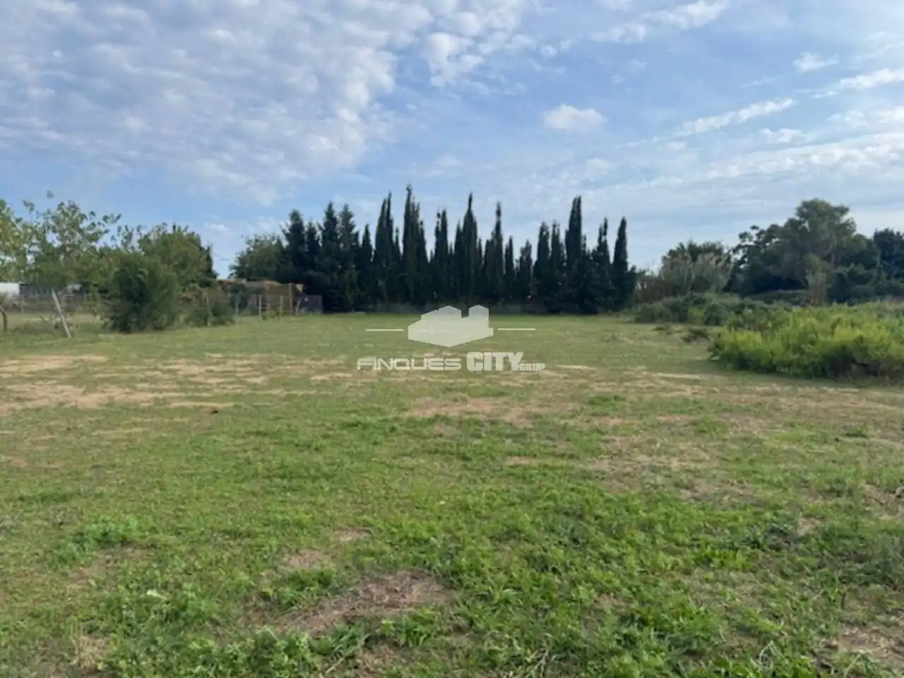 Rural land for sale in Calle pla de llobet