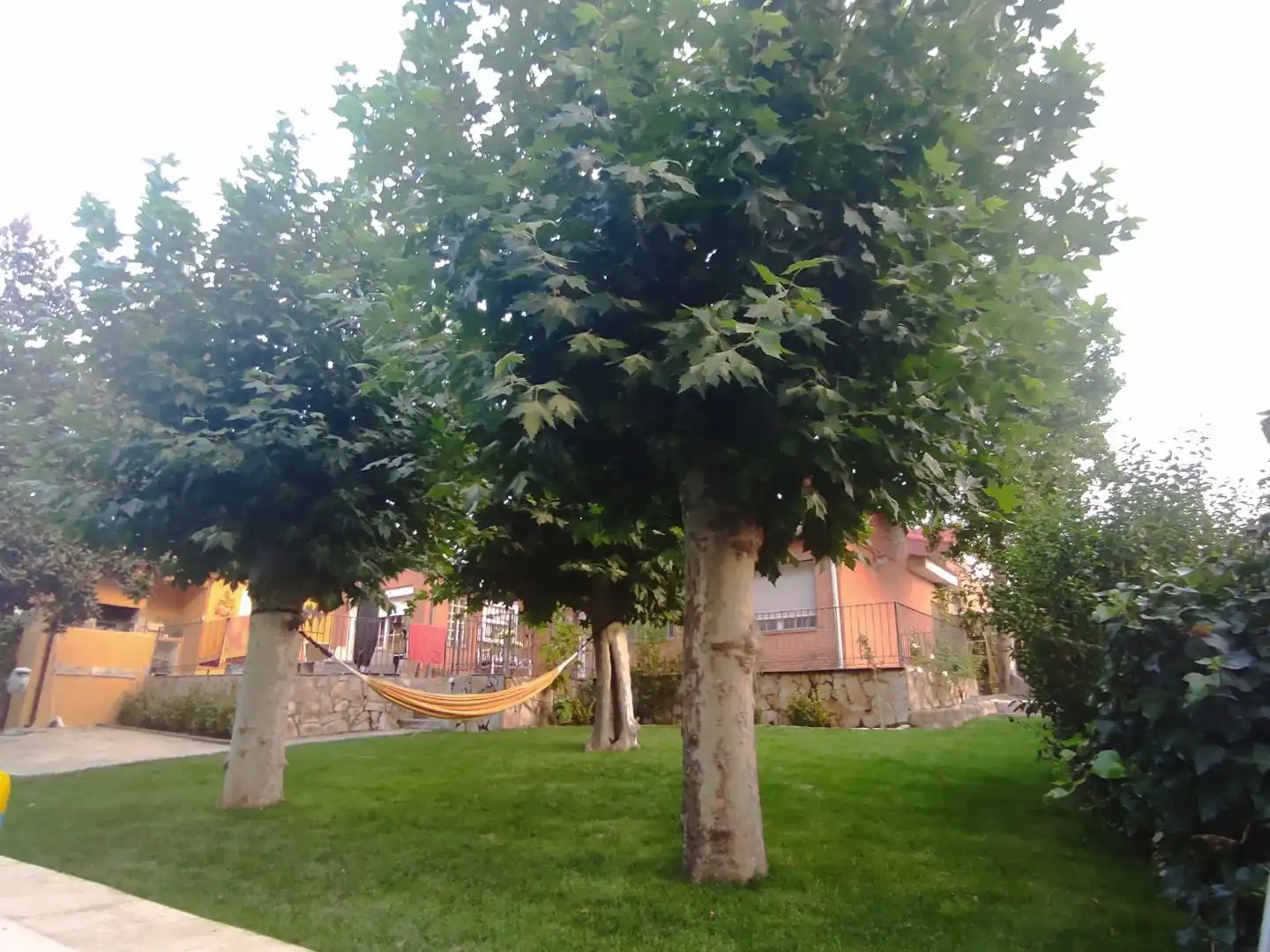 Jardín de Casa o chalet en venta en Navaluenga, Ávila
