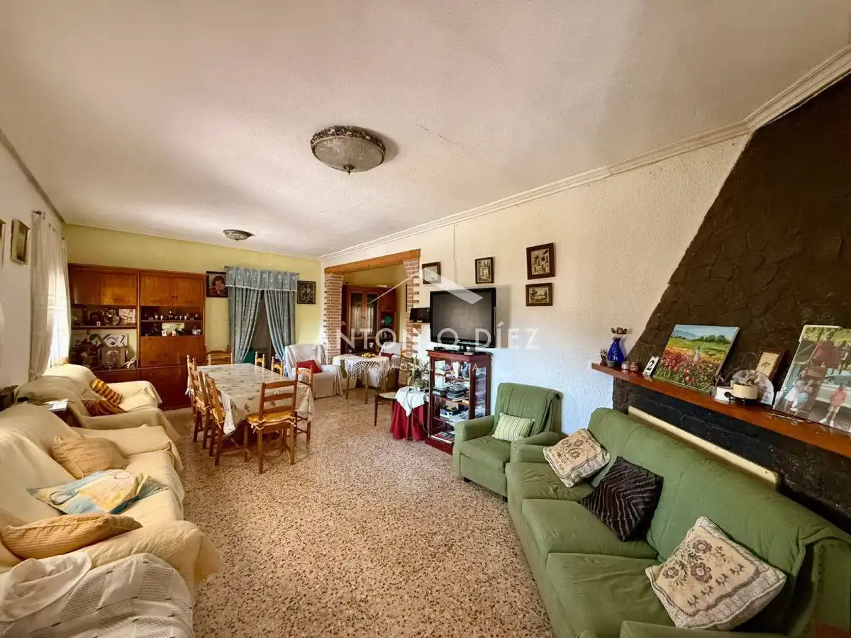 Sala d'estar de Casa o xalet en venda en Aspe amb Terrassa