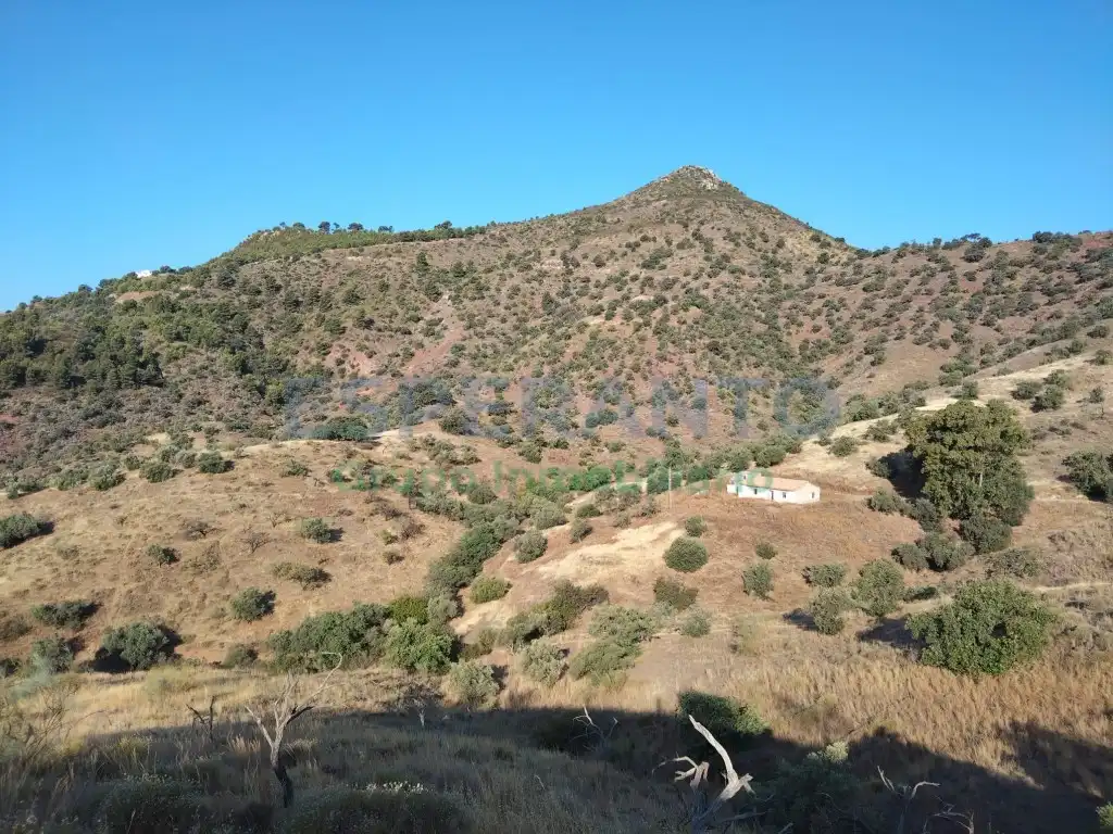 Terreno residencial en venta en Este, imagen 2
