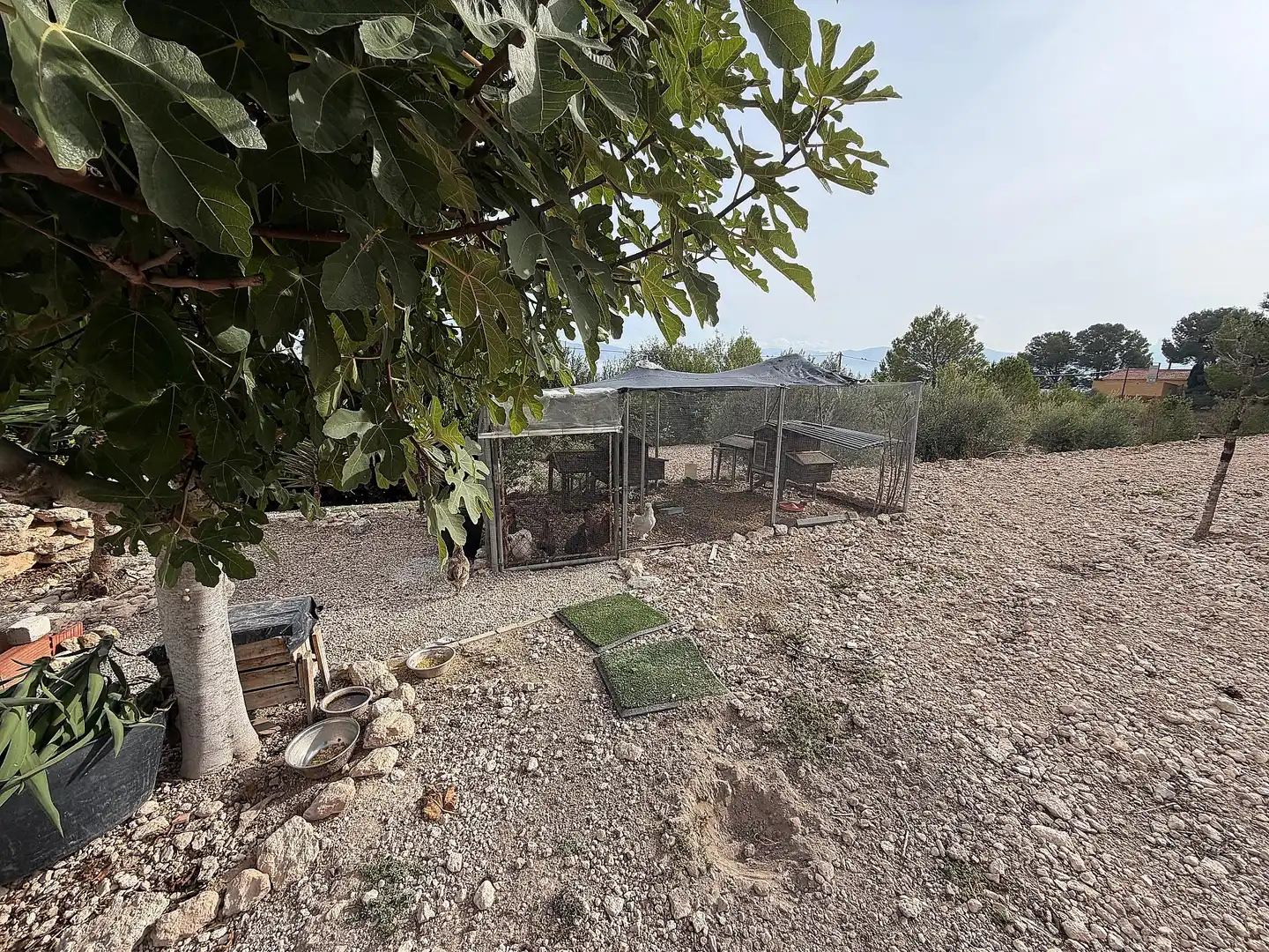 Chalet en venta en Sax, imagen 15