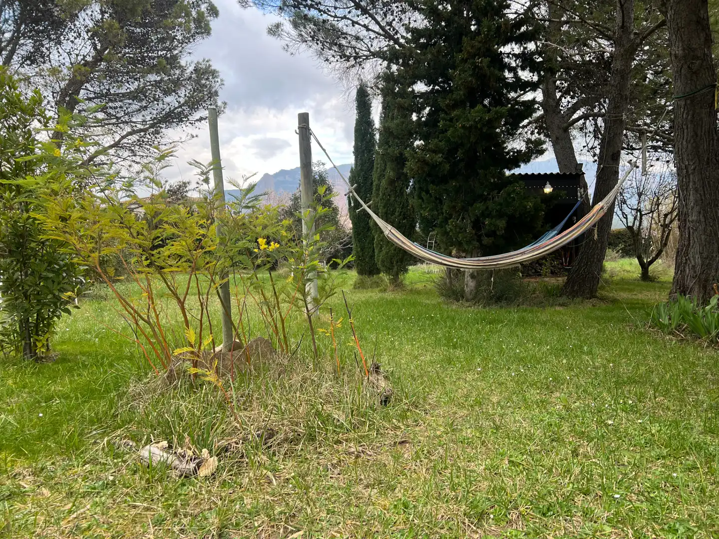 Jardín de Casa o chalet en venta en Murillo de Gállego