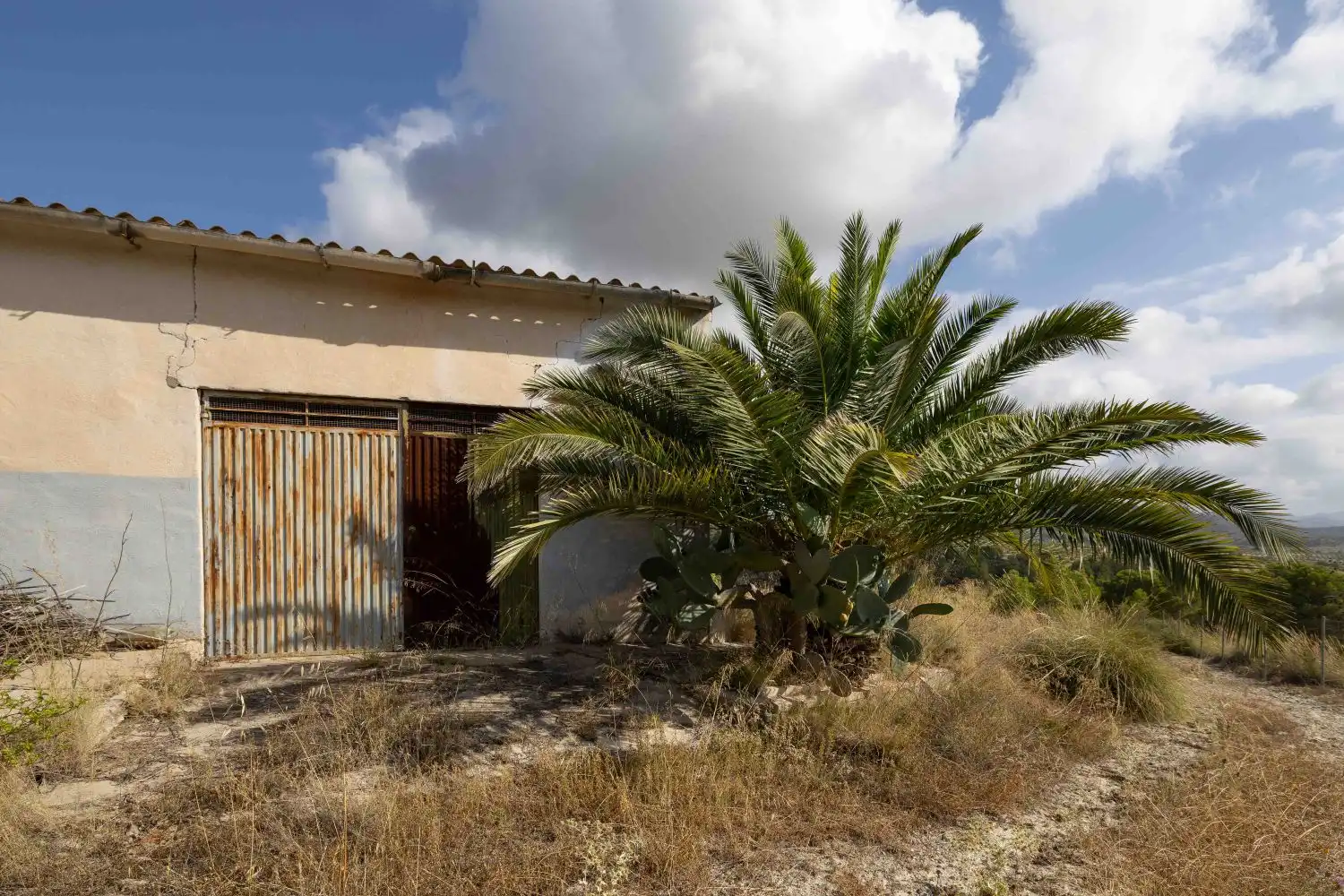 Vista exterior de Finca rústica en venta en Mula