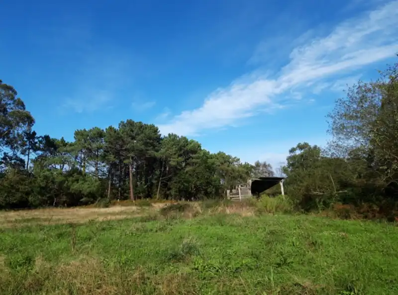 Residencial en venta en OVIÑANA Polígono 13 Parcela , Cudillero
