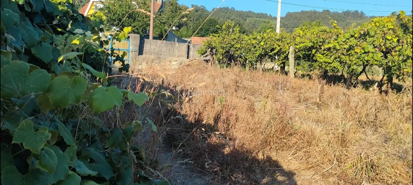 Terreno rustico in vendita a Poblado Carregal 9, imagen 13