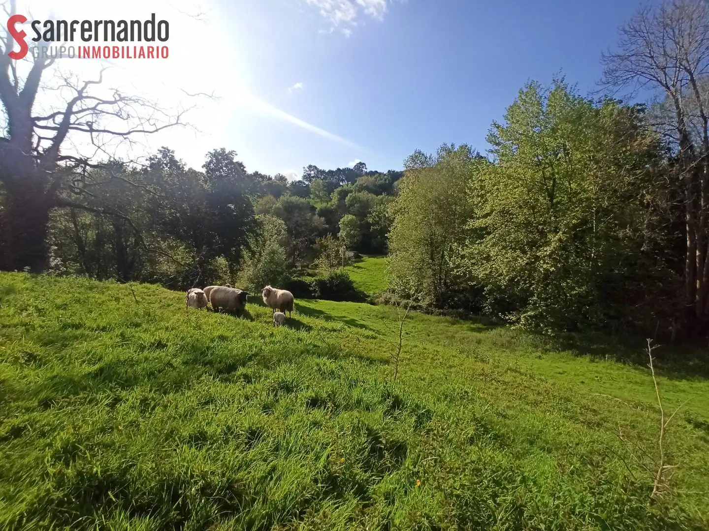 Terreni e lotti in vendita a Villafufre, imagen 4