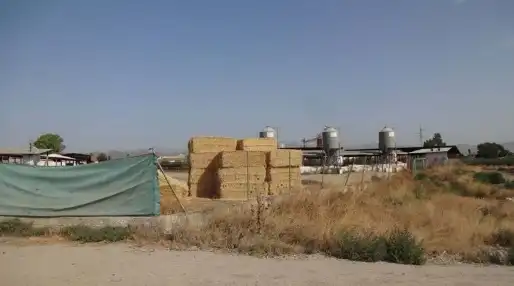 Terreny rústic en venda a Diputación del Esparragal, Pol 4, imagen 12