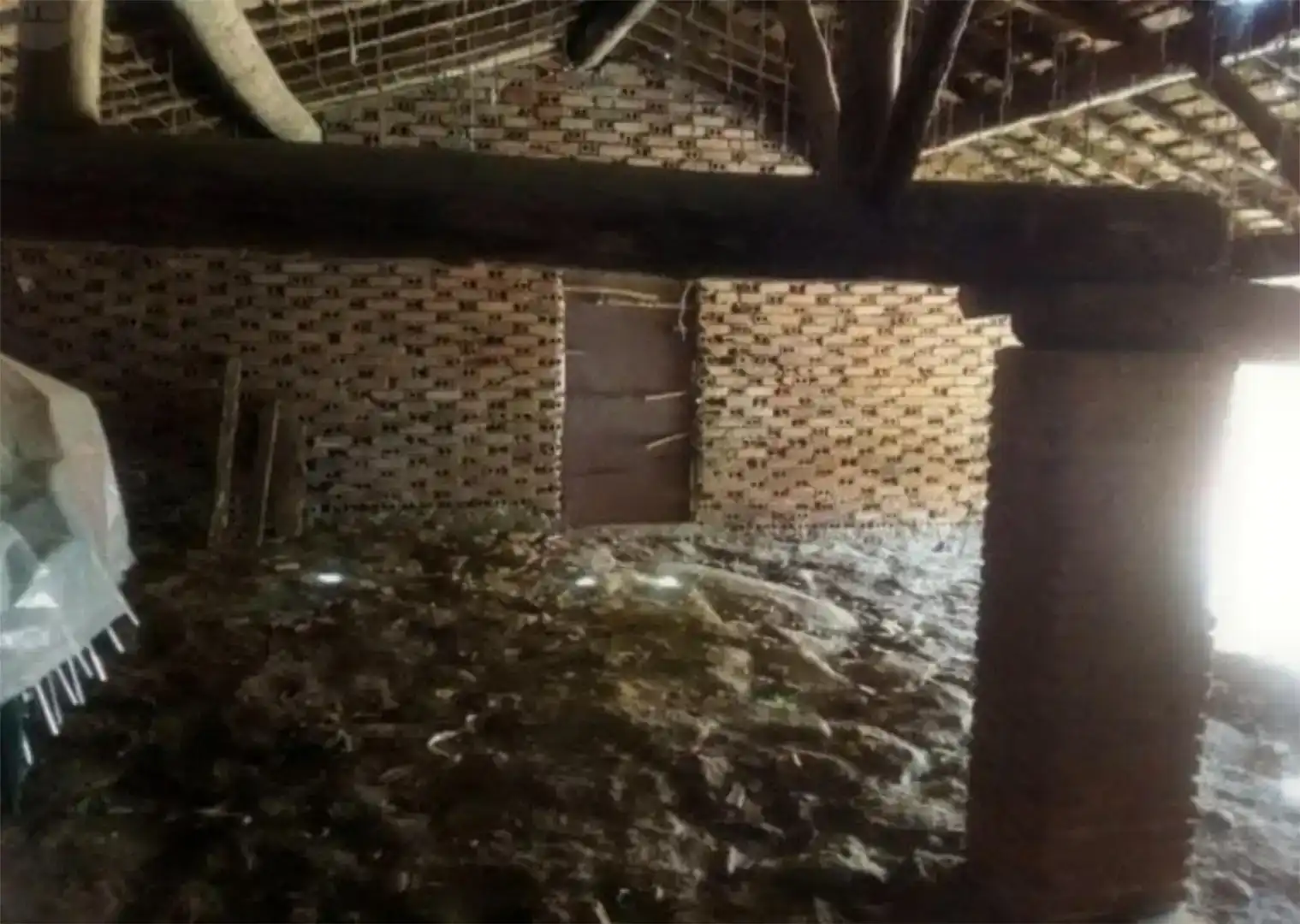 Casa o xalet en venda en Viandar de la Vera amb Jardí privat