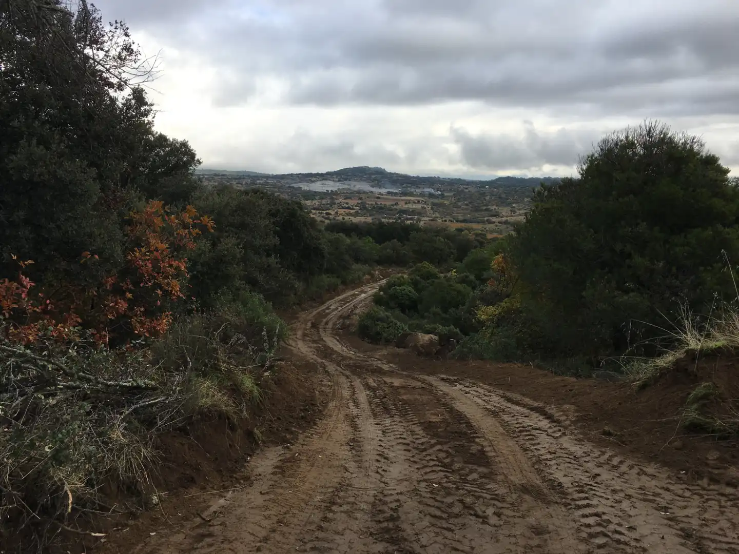 Rural land for sale in Cadalso de los Vidrios, imagen 6