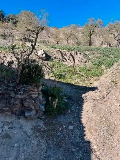 Terreni e lotti in vendita a Murtas, imagen 14