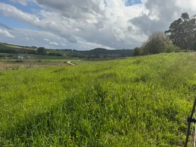 Residential land for sale in Castropol, imagen 15