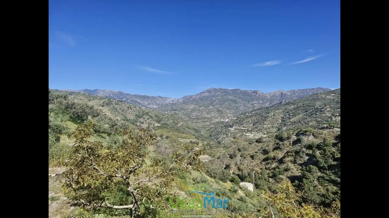 Terreny rústic en venda a Barranco de la Fifa, imagen 16